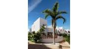 New Build - Villa - San Juan de los Terreros - Mar De Pulpí